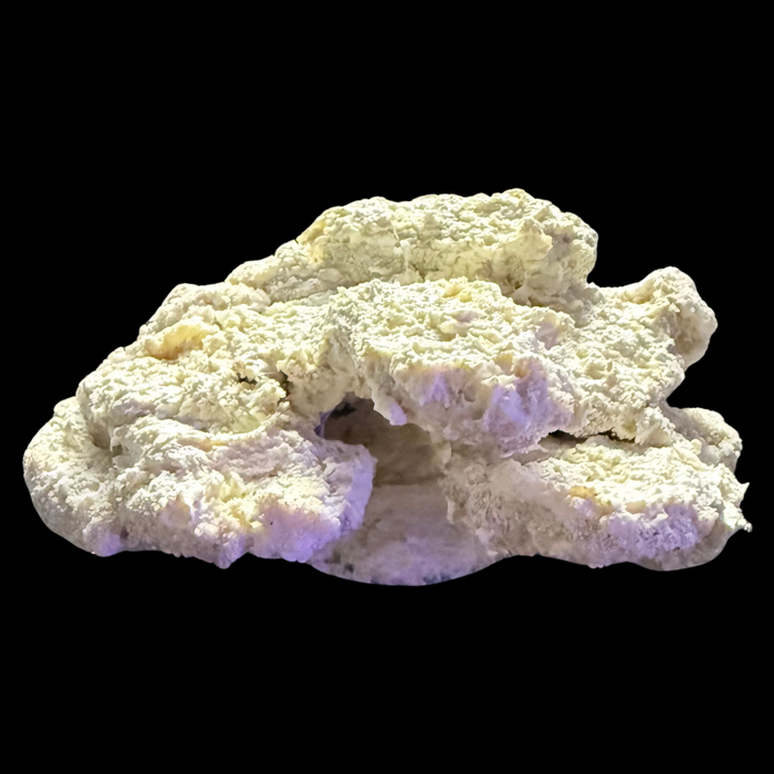 The Polyp Pros Reef Scape #4
