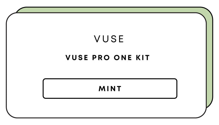 Vuse Pro One Kit | Mint-Image 1
