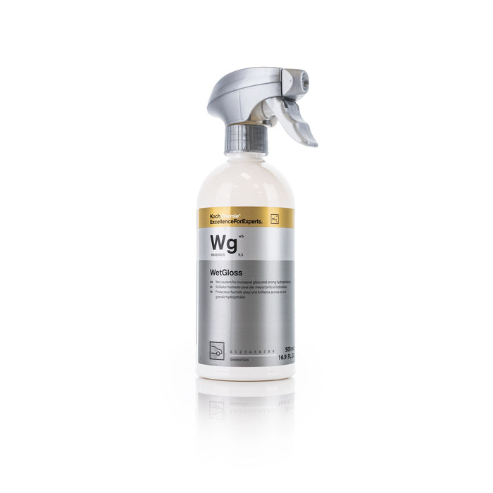 Wet Gloss