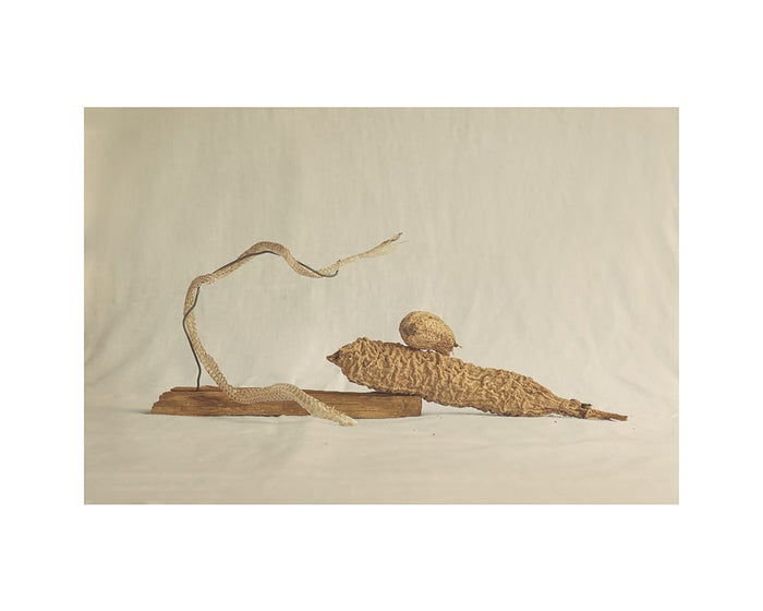 Zambezi River by Alium Gallery